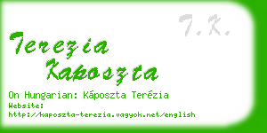 terezia kaposzta business card